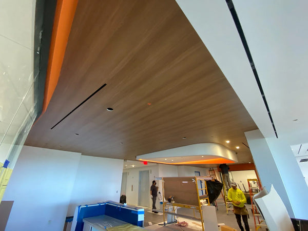 Accent Ceiling Wrap (Herndon, VA)