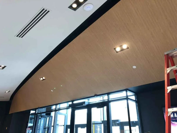 Curved Ceiling Wrap @ Silverspot Cinema