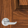 Silver door handle on a wooden door