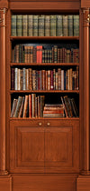 Old Book Shelf Door Wrap