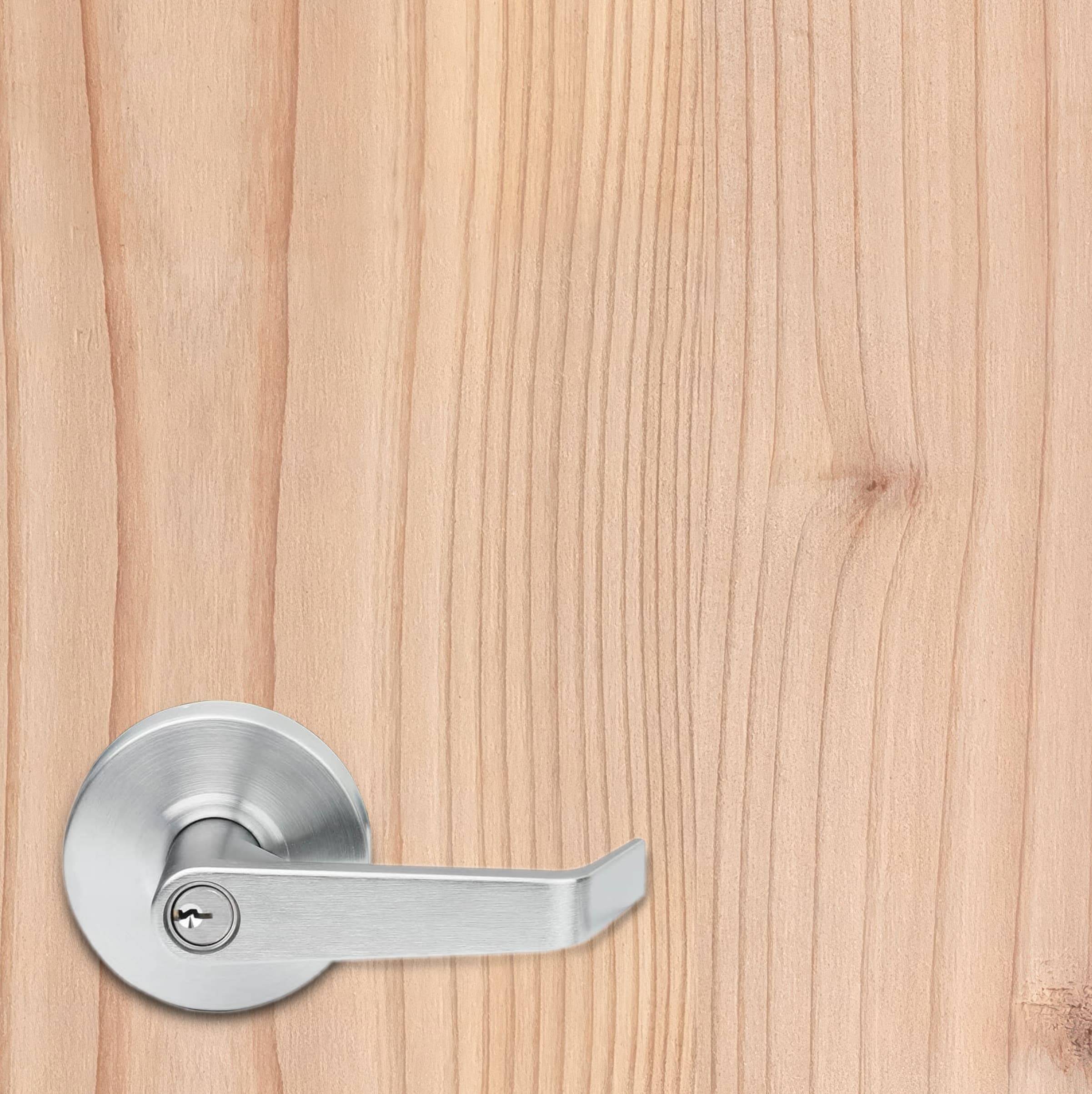 Metal door handle on a wooden door