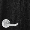 Ebony Elm Slab Wood Grain Vinyl Door Wrap