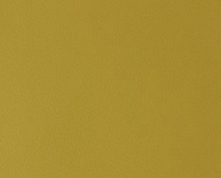DI-NOC™ LE 1556 Olive Green Leather 3M™ Vinyl  Rm wraps - Rm wraps Store